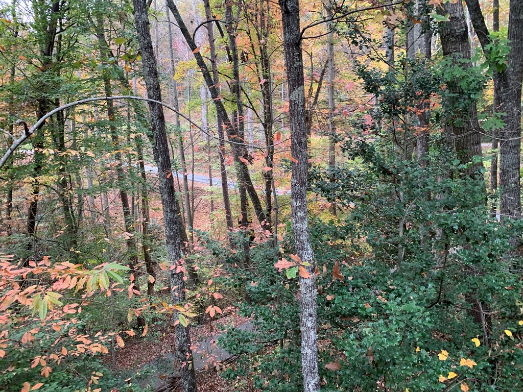 55 Laurel Spring Drive Murphy, NC 28906 - Photo 42 of 73 a backyard of a house with lots of green space
