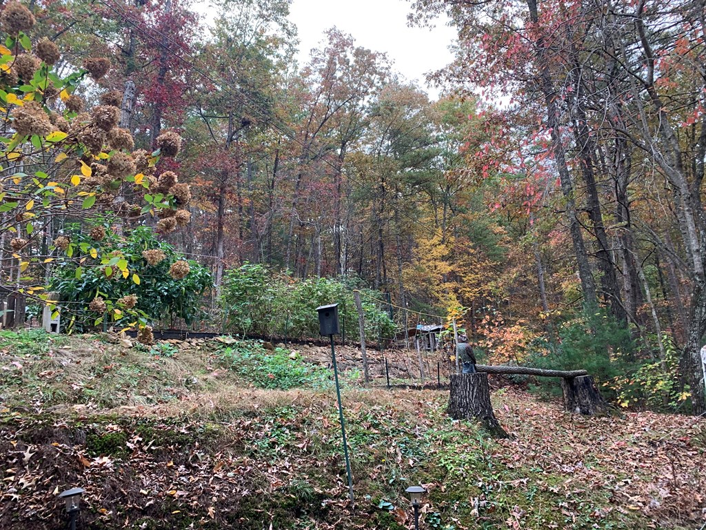 55 Laurel Spring Drive Murphy, NC 28906 - Photo 57 of 73 a view of a bench in a garden