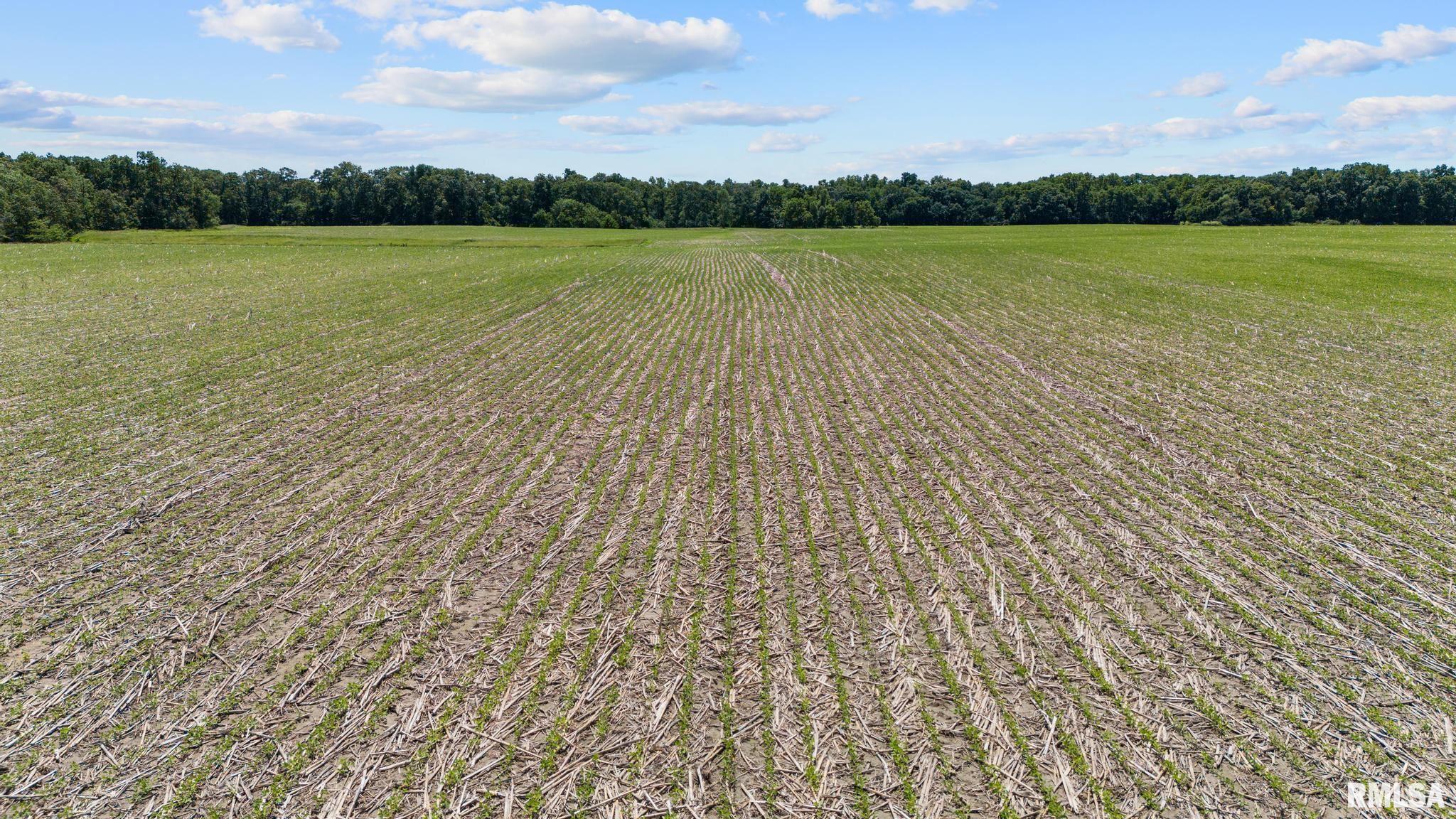 1401 Hickory Grove Road Lacon, IL 61540 - Photo 6 of 12
