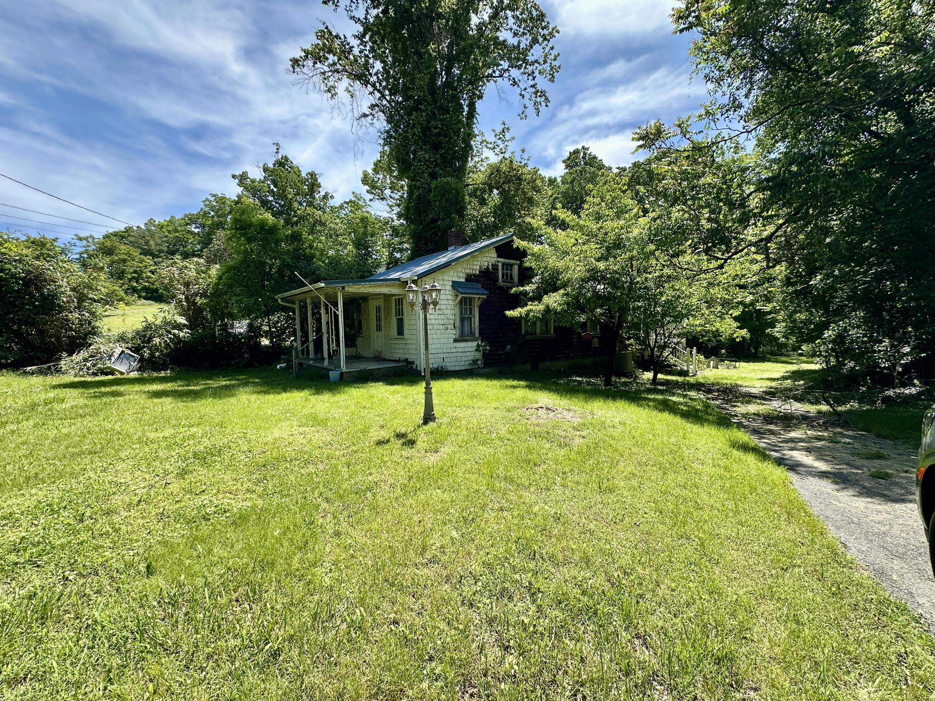 a view of a garden with a slide