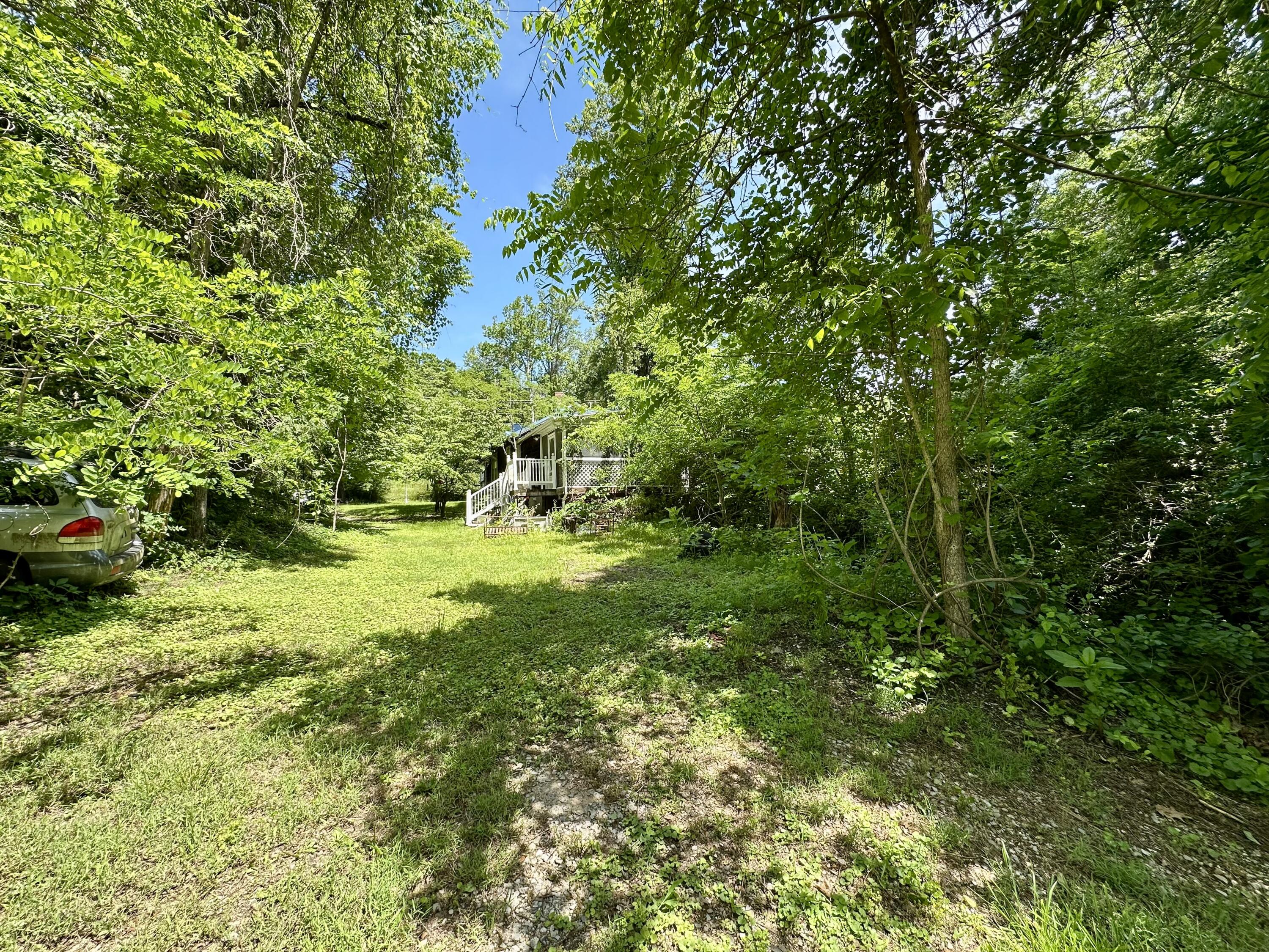 1074 Lynn Lane Blue Ridge, VA 24064 - Photo 4 of 6 a view of outdoor space and yard