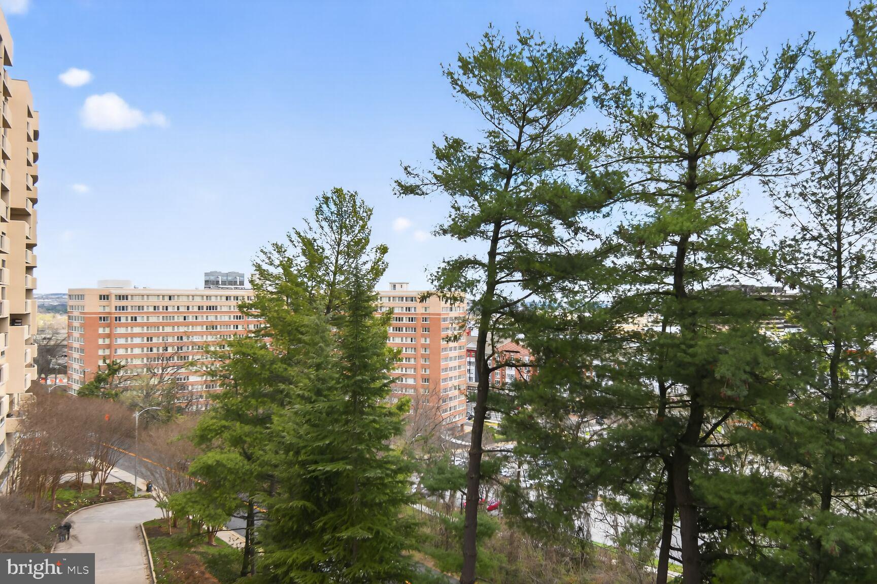 1101 South Arlington Ridge Road, Unit 504 Arlington, VA 22202 - Photo 30 of 37 a view of a tree