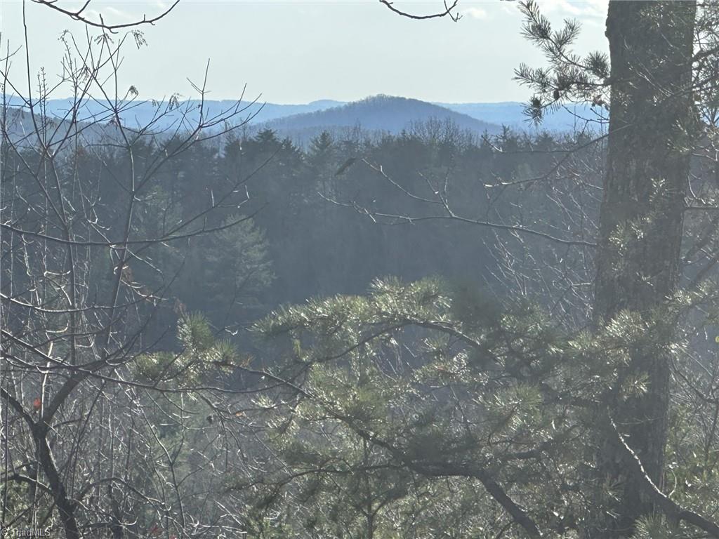 Tbd1 Scout Road Lenoir, NC 28645 - Photo 11 of 31