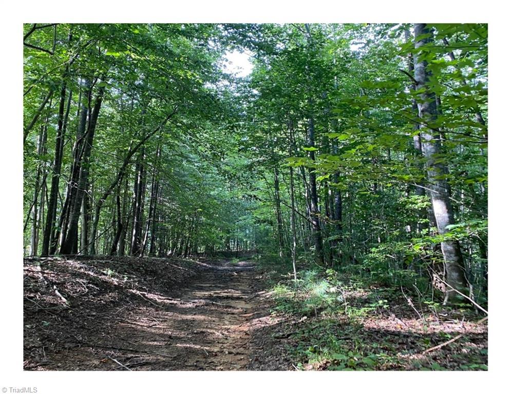 Tbd1 Scout Road Lenoir, NC 28645 - Photo 13 of 31