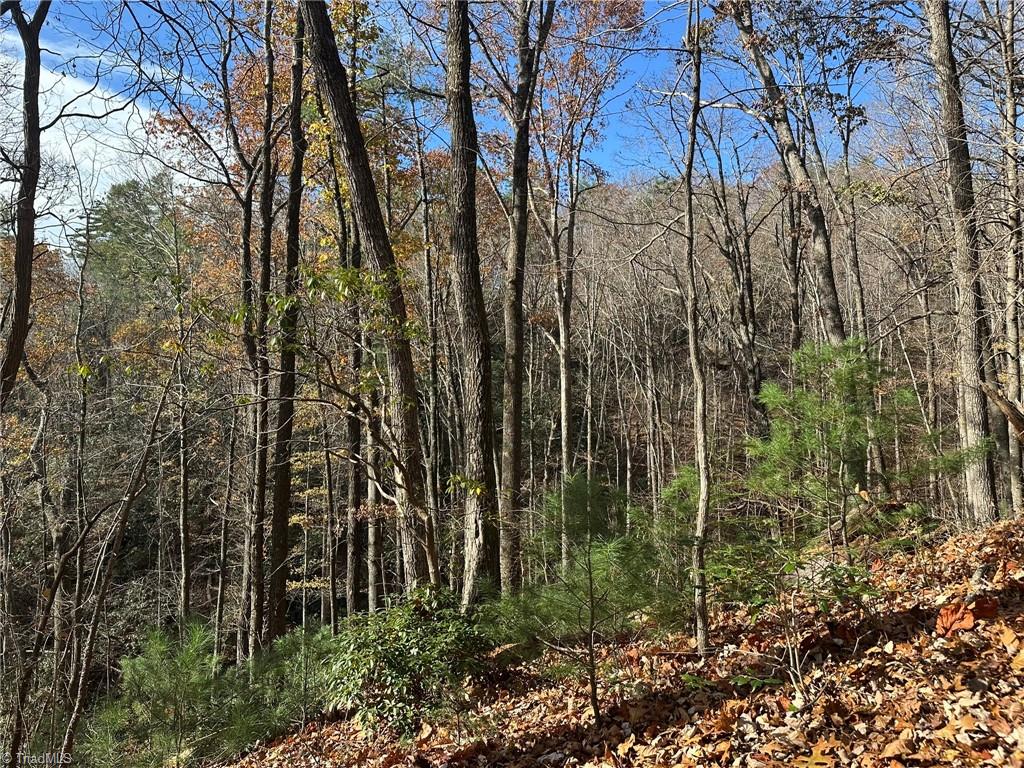 Tbd1 Scout Road Lenoir, NC 28645 - Photo 14 of 31