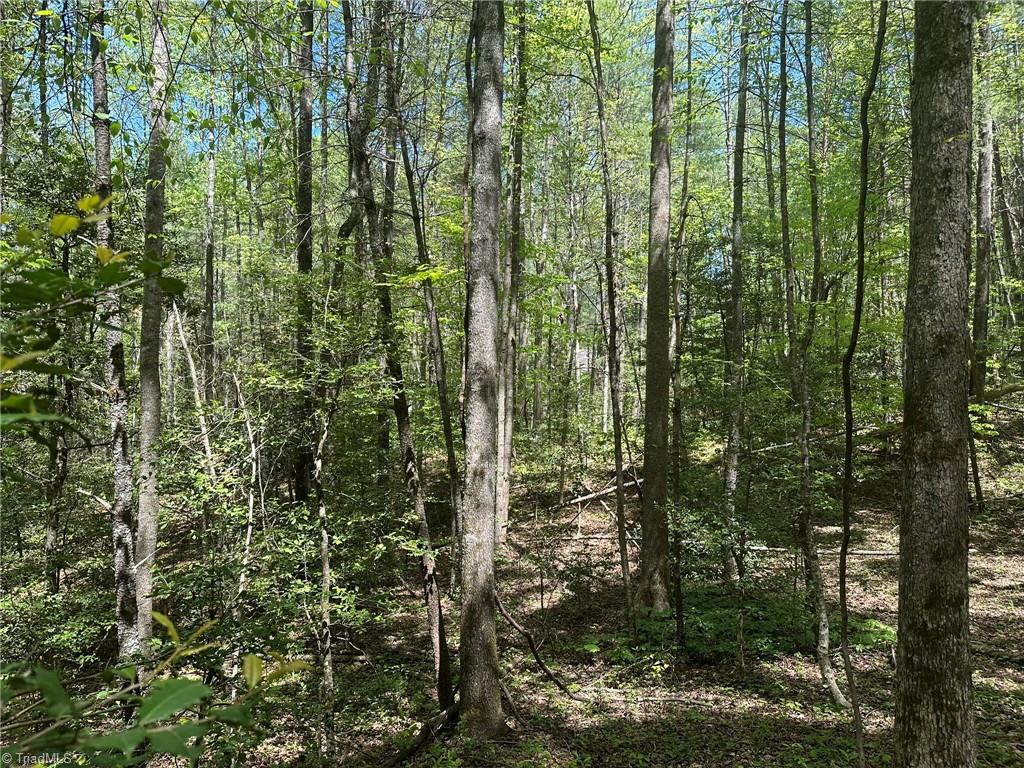 Tbd1 Scout Road Lenoir, NC 28645 - Photo 15 of 31