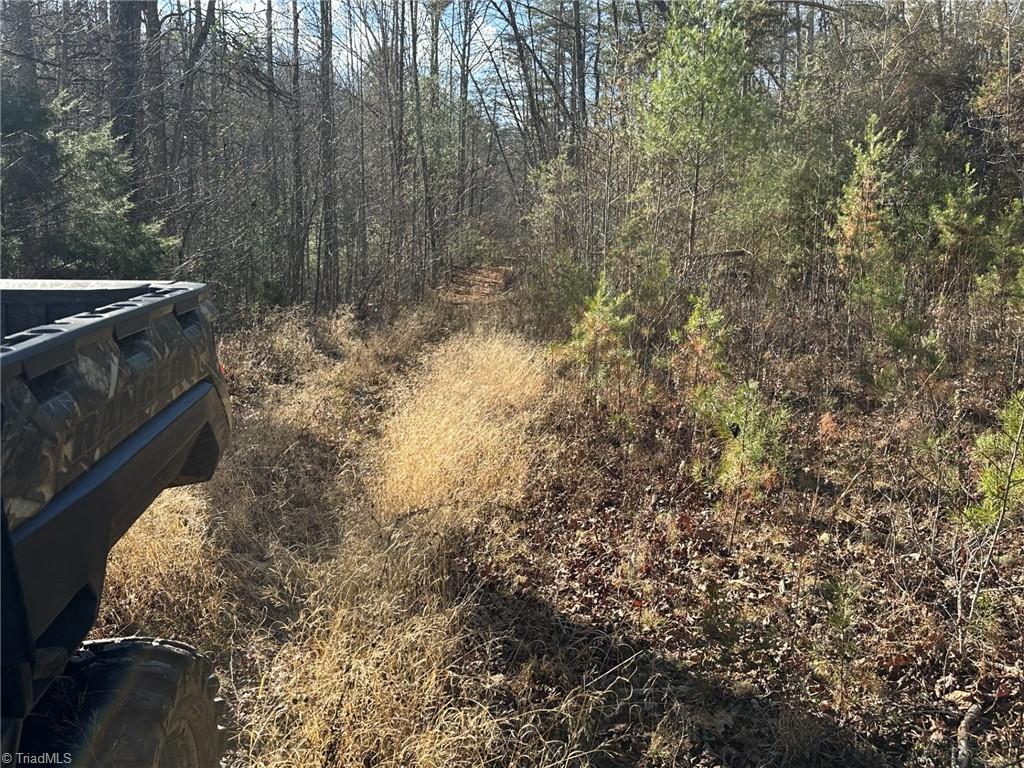 Tbd1 Scout Road Lenoir, NC 28645 - Photo 16 of 31