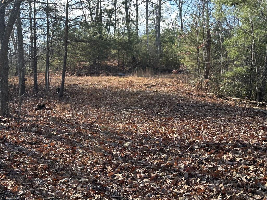 Tbd1 Scout Road Lenoir, NC 28645 - Photo 17 of 31