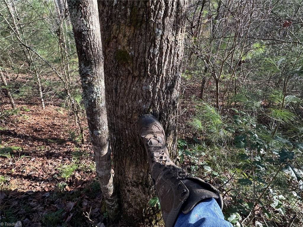 Tbd1 Scout Road Lenoir, NC 28645 - Photo 18 of 31