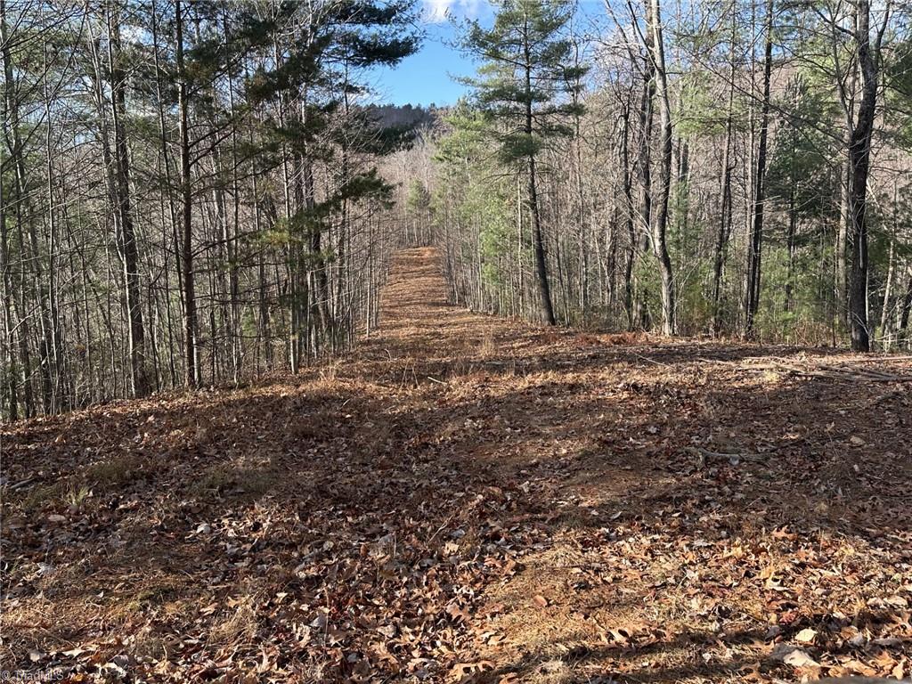 Tbd1 Scout Road Lenoir, NC 28645 - Photo 21 of 31