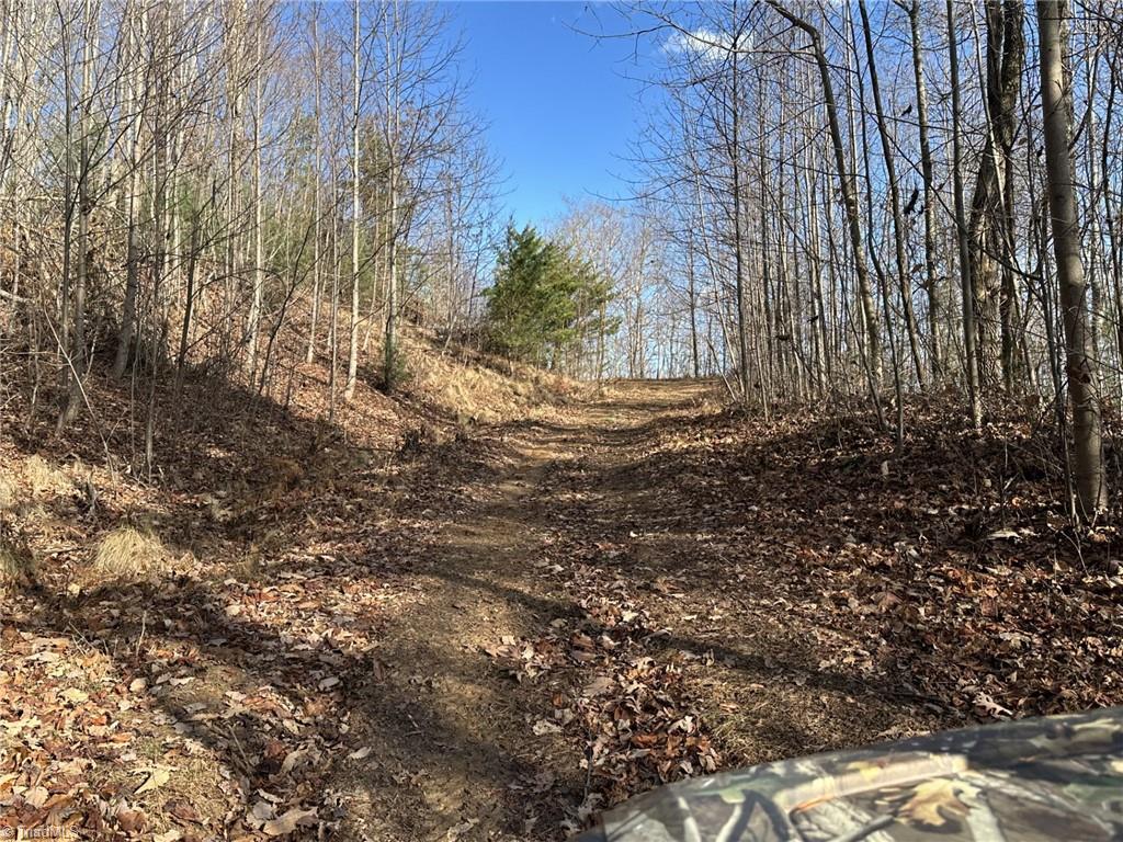 Tbd1 Scout Road Lenoir, NC 28645 - Photo 22 of 31