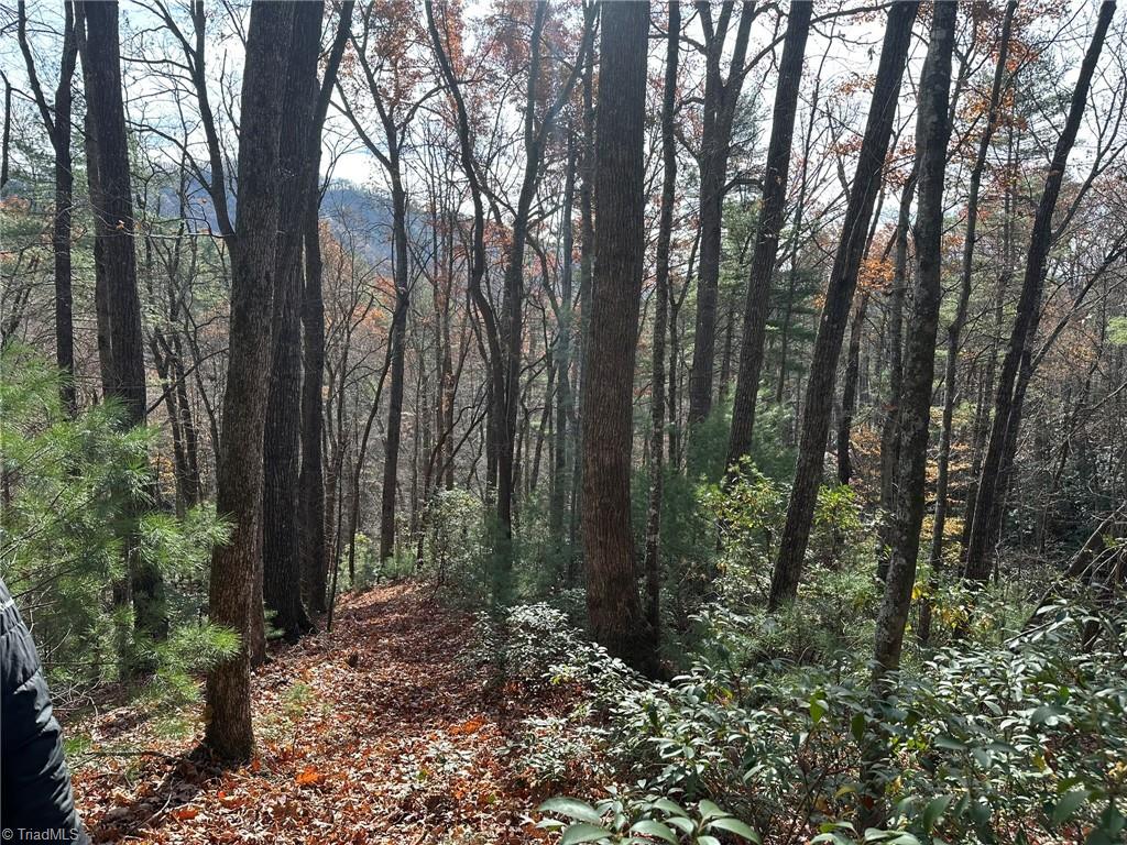 Tbd1 Scout Road Lenoir, NC 28645 - Photo 6 of 31