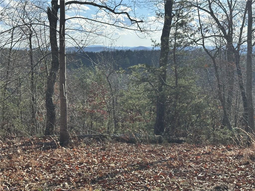 Tbd1 Scout Road Lenoir, NC 28645 - Photo 9 of 31