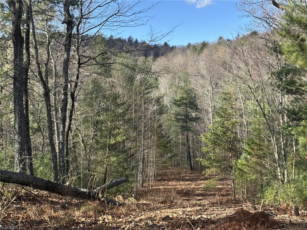 Tbd1 Scout Road Lenoir, NC 28645 - Photo 10 of 31