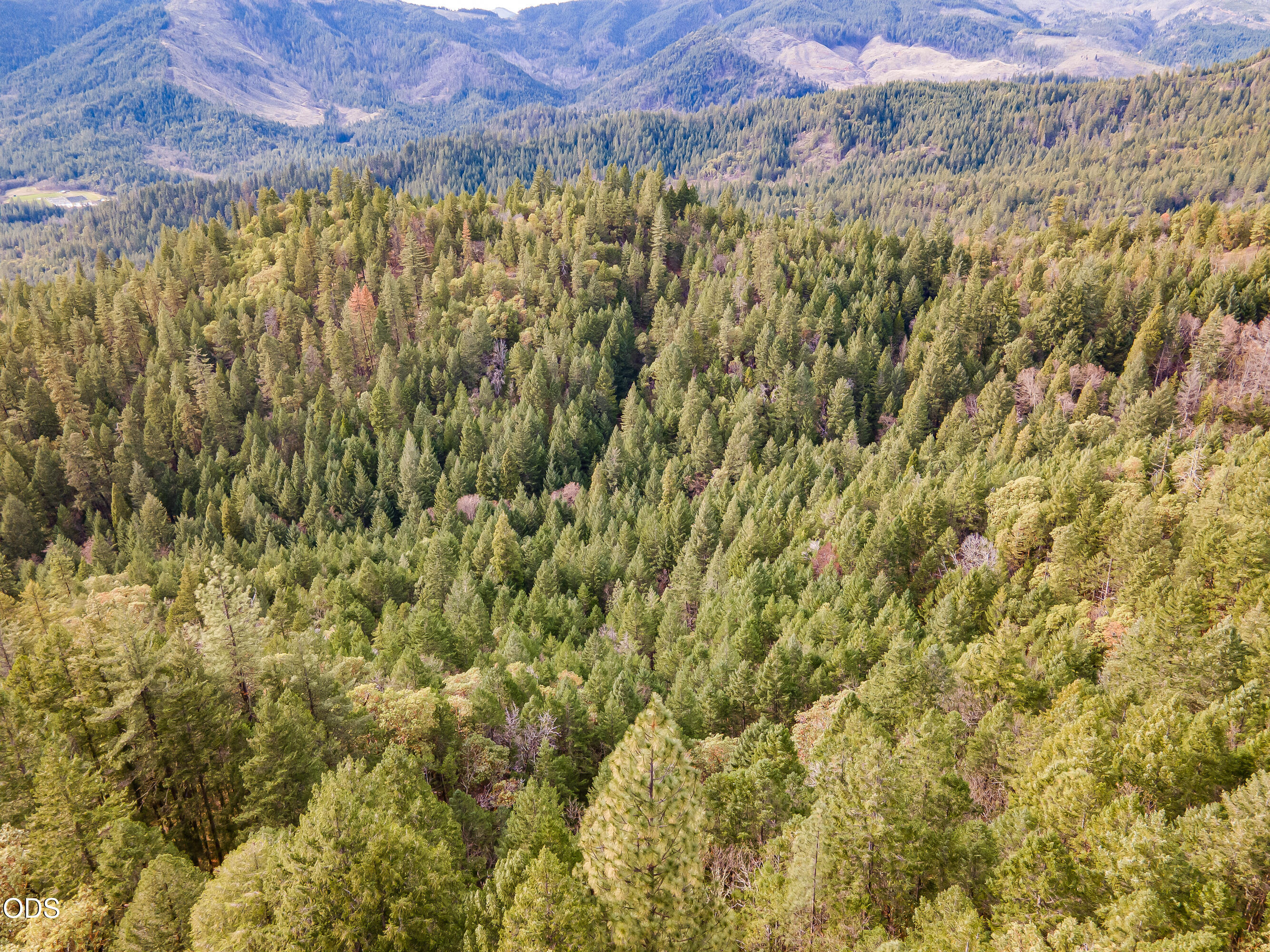 Pleasant Cr Road Rogue River, OR 97537 - Photo 14 of 42