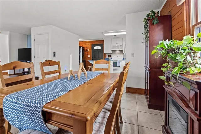 a room with furniture and a potted plant