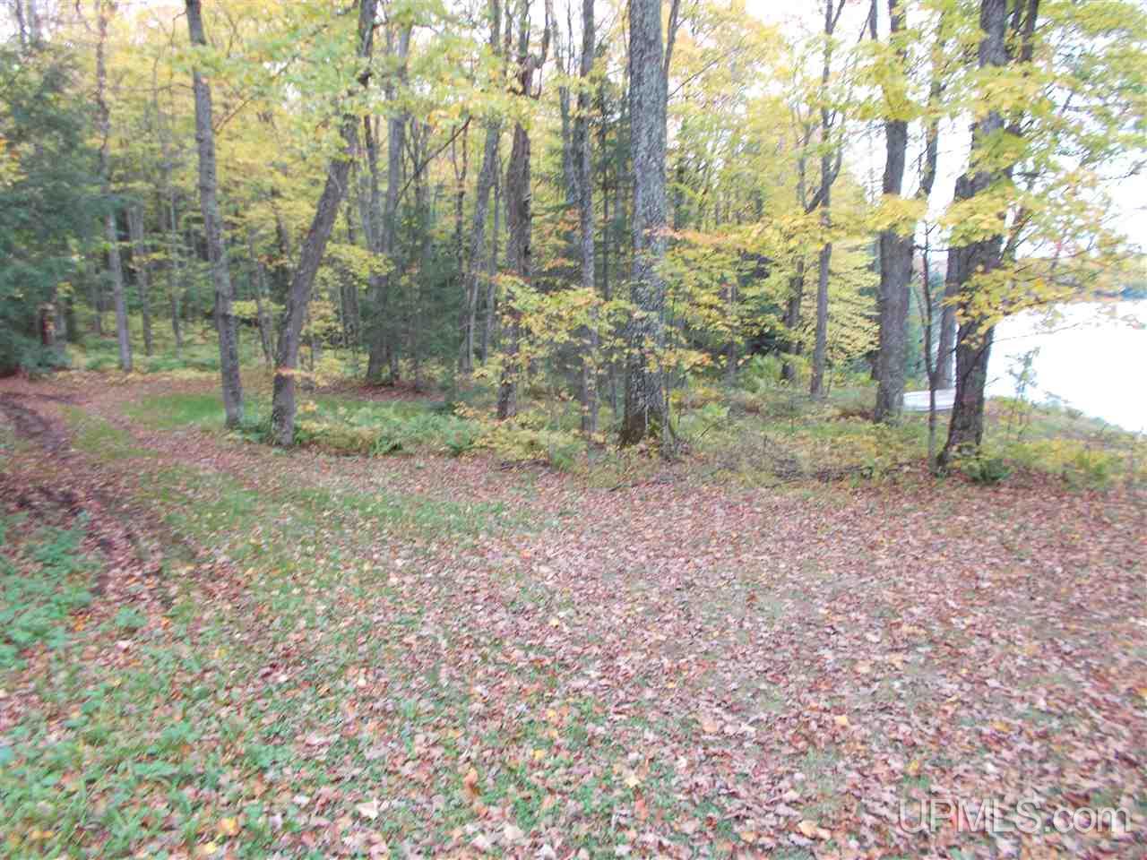 Clark Lake Jack Spurr Road Wakefield, MI 49968 - Photo 16 of 20