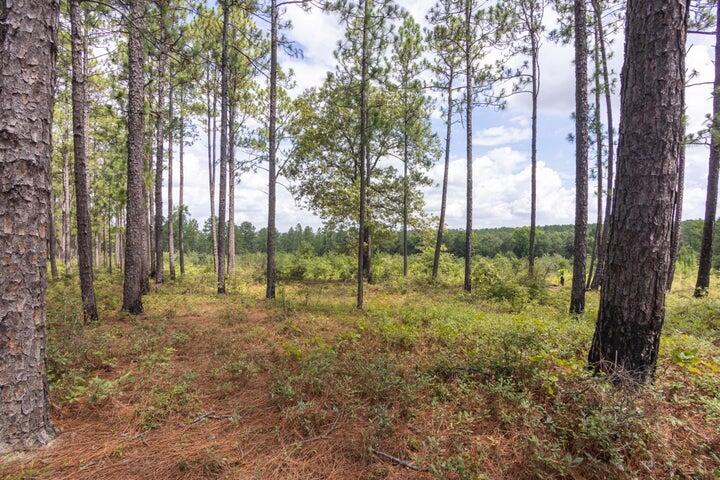 Lot G Dragstrip Road Aiken, SC 29803 - Photo 2 of 4 dragstrip2