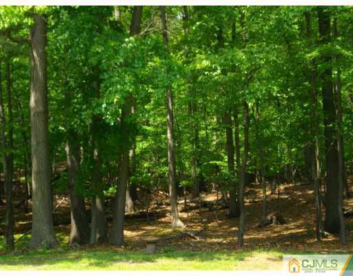 257 Gordon Road Old Bridge, NJ 07747 - Photo 9 of 9 Gallery Image 9