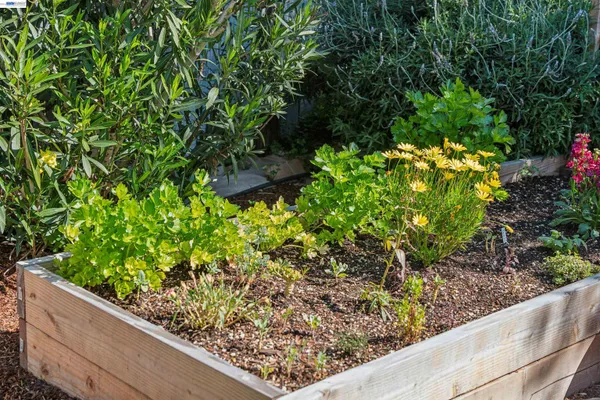 $500,000 | 1262 94th Avenue, Oakland, CA 94603