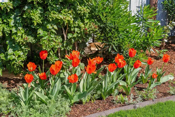 $500,000 | 1262 94th Avenue, Oakland, CA 94603