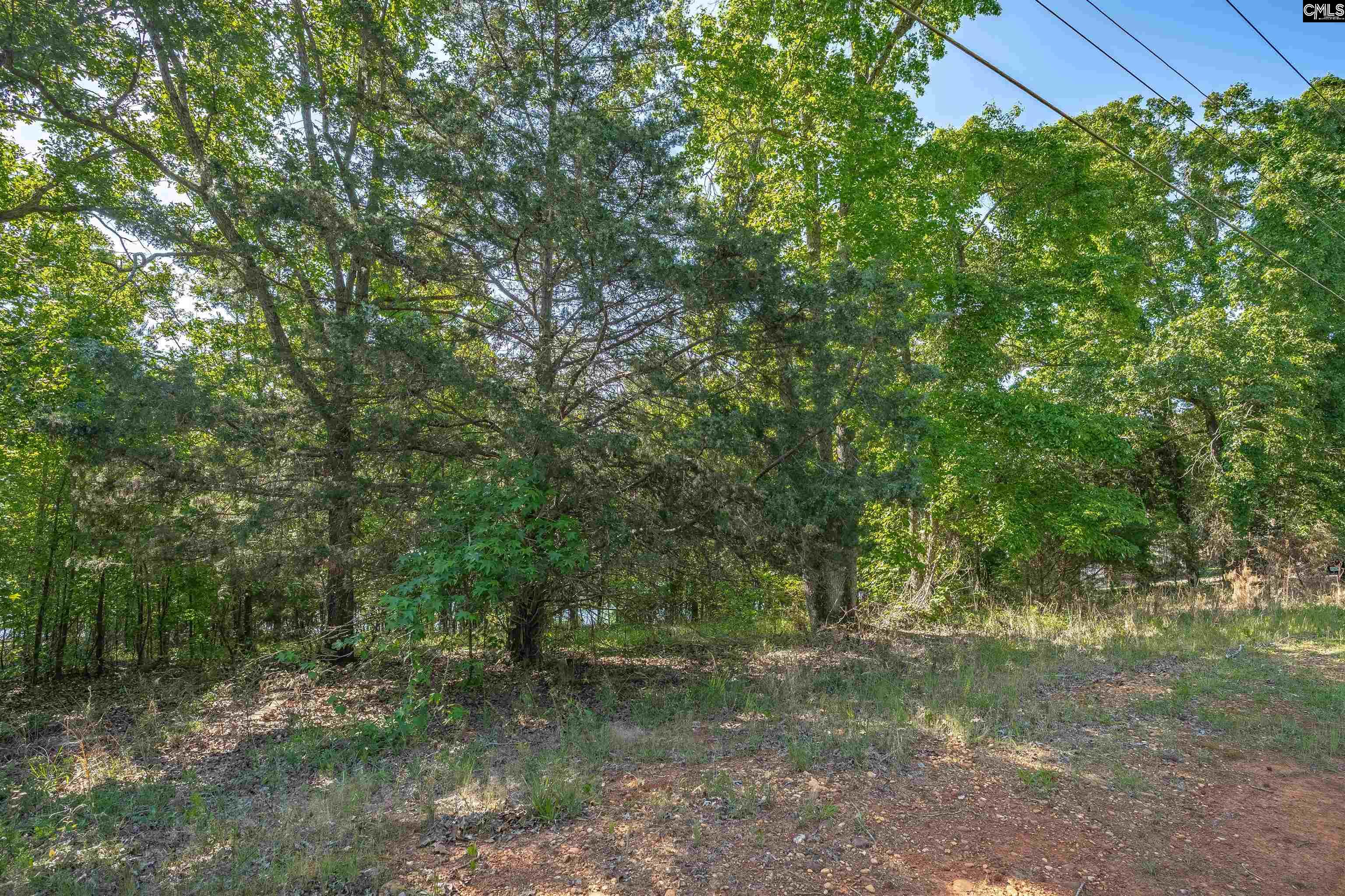 2022 Lake Road Ridgeway, SC 29130 - Photo 13 of 21