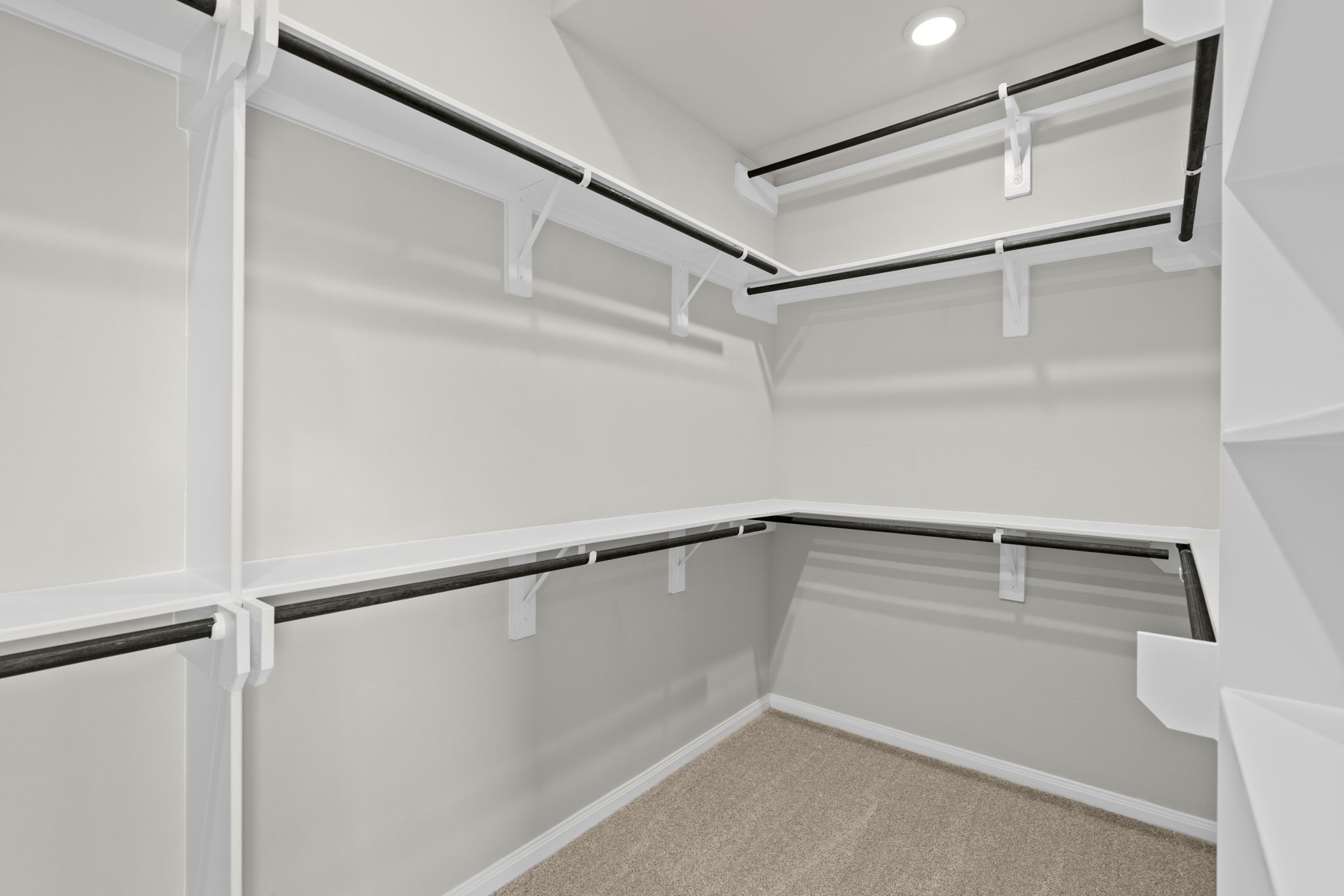 6402 Citron Elm Road Manvel, TX 77578 - Photo 22 of 37 a view of an empty walk in closet