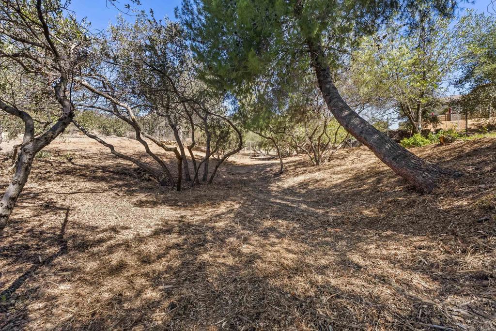 16220 Wikiup Road Ramona, CA 92065 - Photo 60 of 70 Gallery Image 60