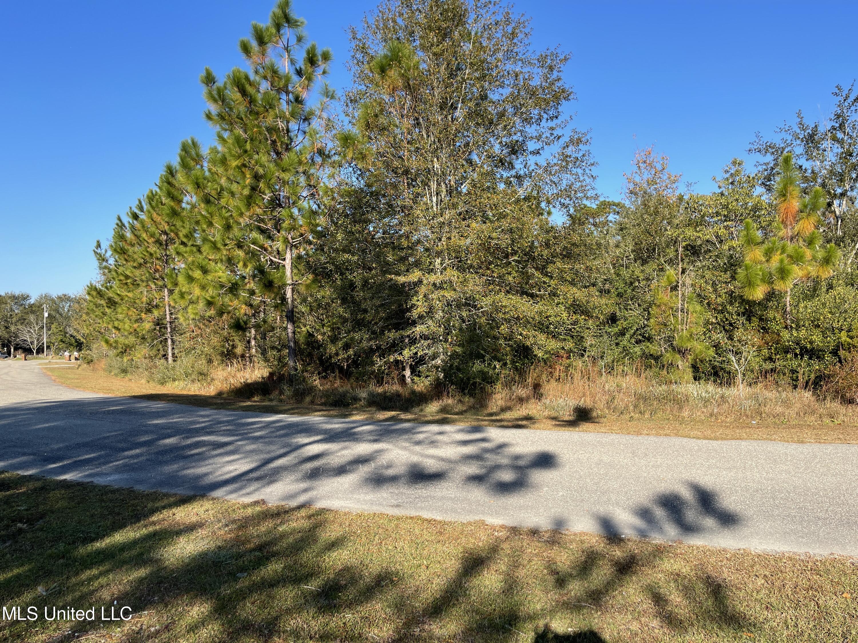 0 McDowell Road Saucier, MS 39574 - Photo 4 of 7 D396A8BA-E533-488B-8A19-C849795CB4B9