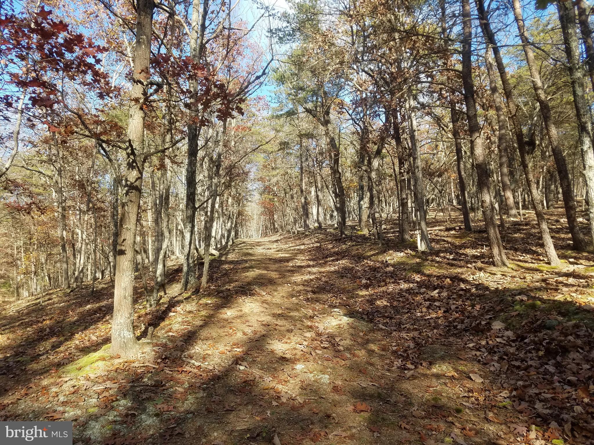 Church Hollow Road Romney, WV 26757 - Photo 3 of 20