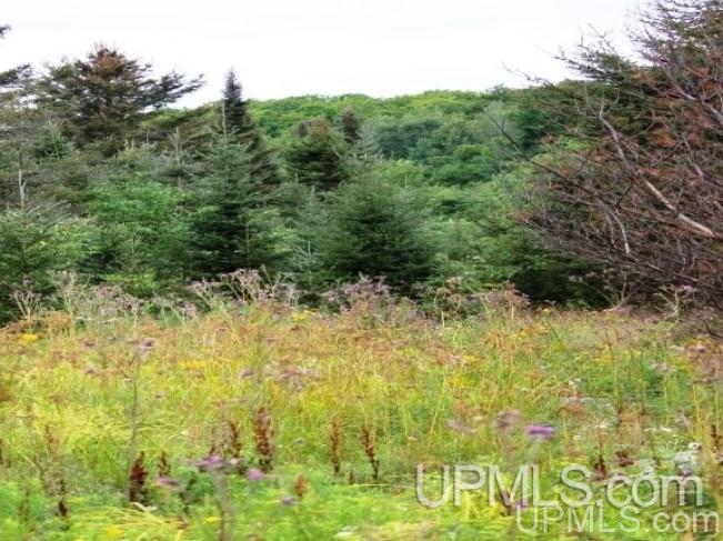 Tbd North Angeli Road, Unit 15 Iron River, MI 49935 - Photo 3 of 15