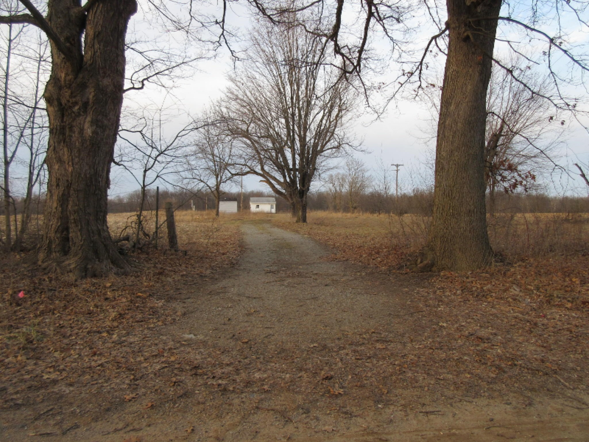 West Ellsworth Road Morrice, MI 48857 - Photo 2 of 35 IMG_6860