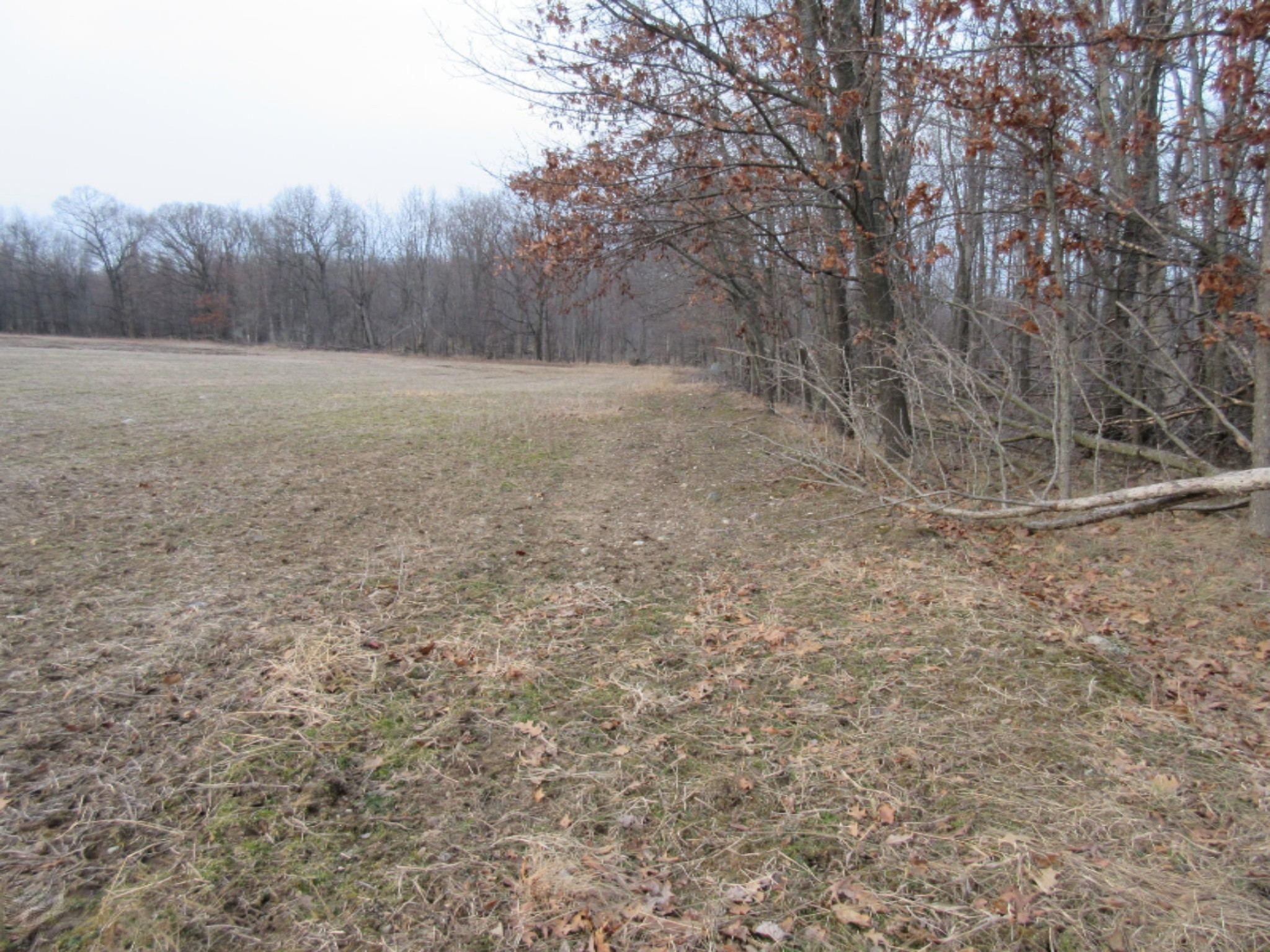 West Ellsworth Road Morrice, MI 48857 - Photo 21 of 35 IMG_6906