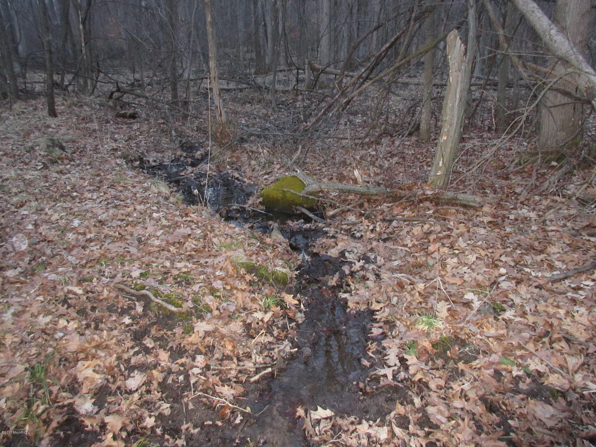 West Ellsworth Road Morrice, MI 48857 - Photo 28 of 35 IMG_6934
