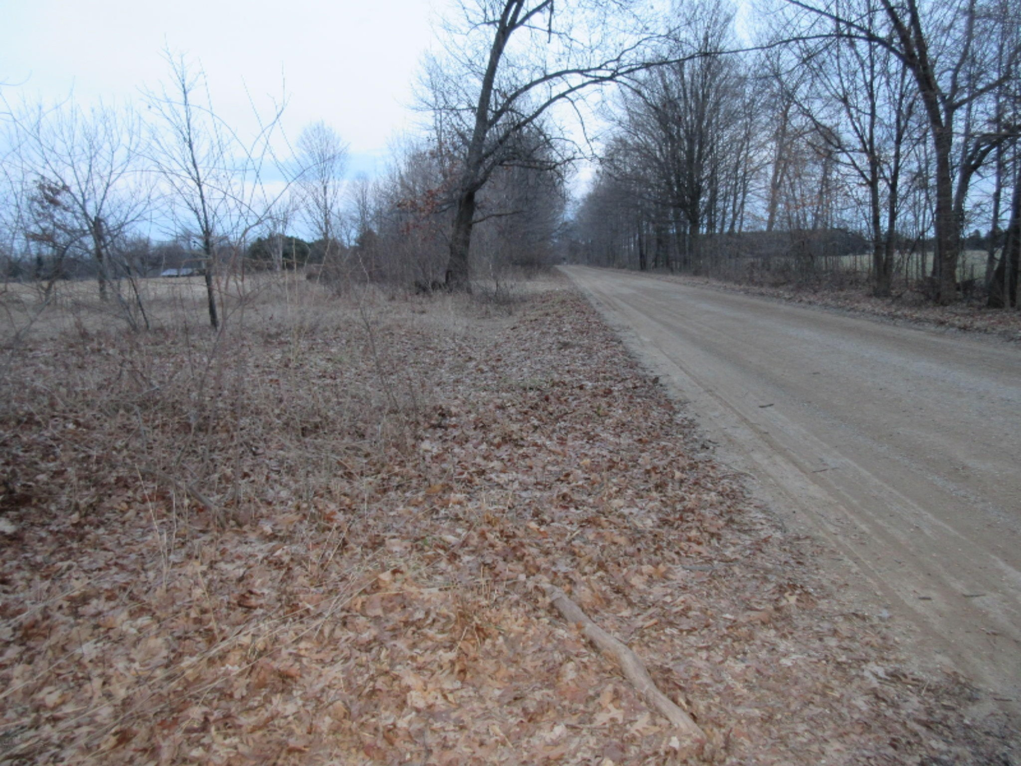West Ellsworth Road Morrice, MI 48857 - Photo 33 of 35 IMG_6948