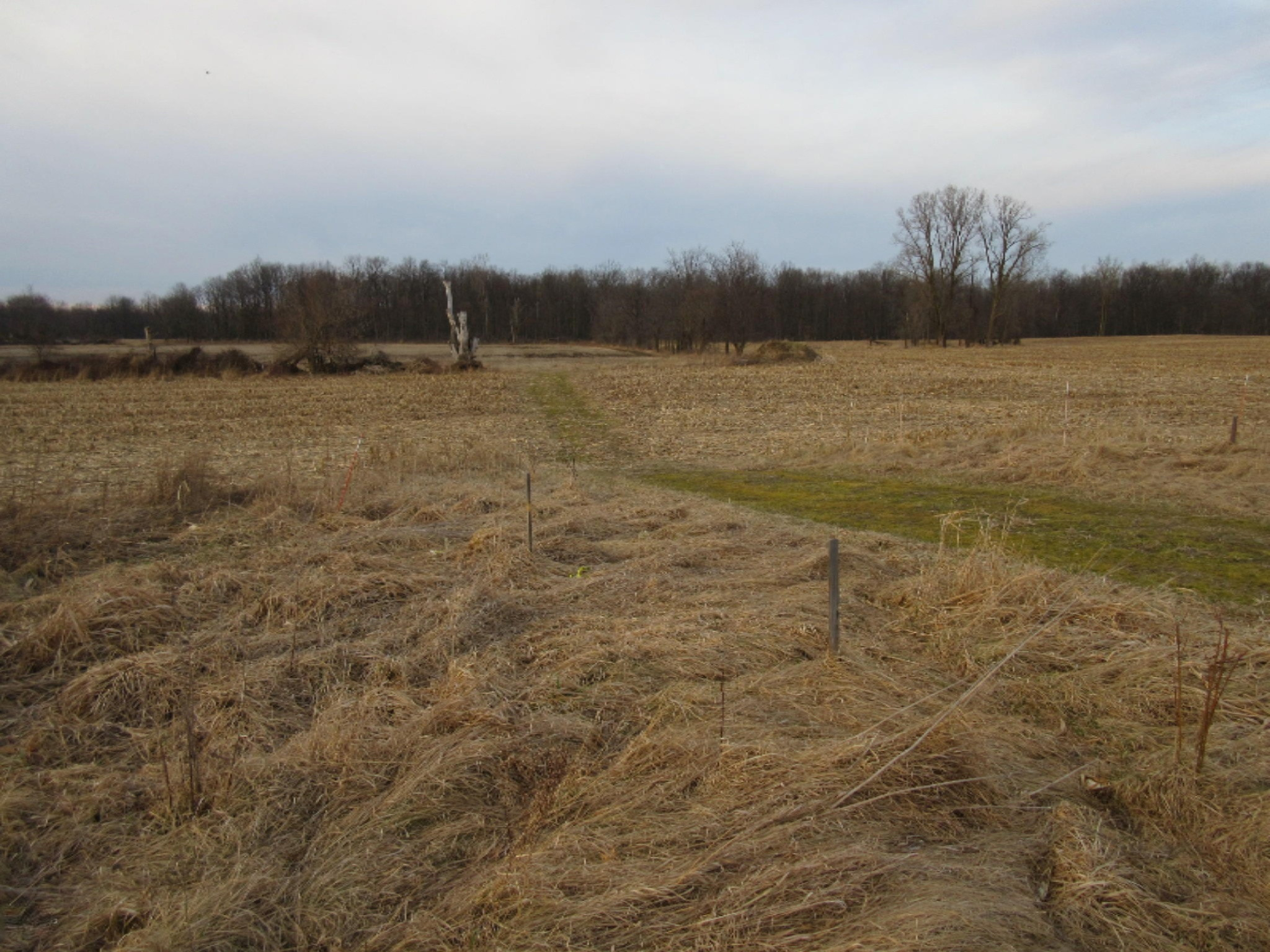 West Ellsworth Road Morrice, MI 48857 - Photo 5 of 35 IMG_6869