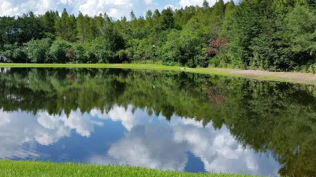 $225,000 | 4201 Woodstorks Walk Way, Unit 3109, Lutz, FL 33558