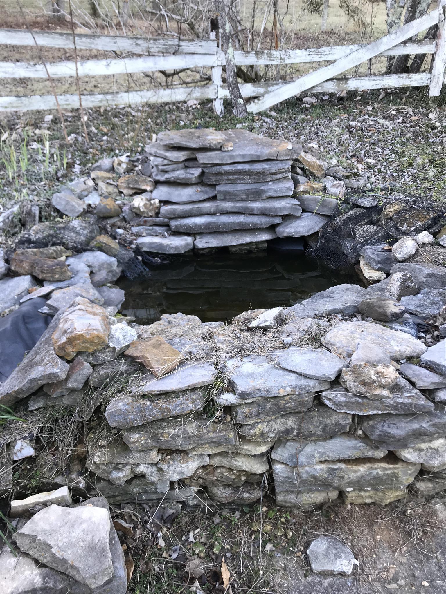 101 Hayes Road Goodspring, TN 38460 - Photo 18 of 22 a view of lot of water