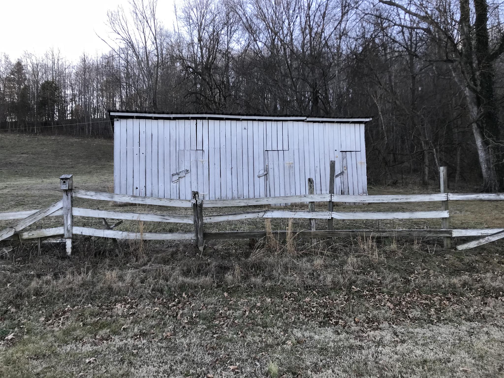 101 Hayes Road Goodspring, TN 38460 - Photo 19 of 22 a backyard of a house with lots of green space