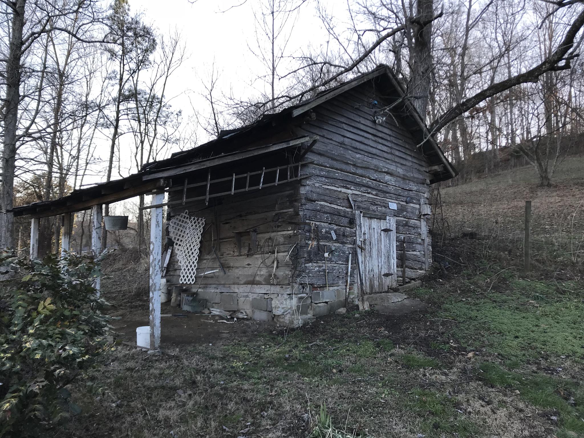 101 Hayes Road Goodspring, TN 38460 - Photo 20 of 22 a backyard of a house with lots of green space