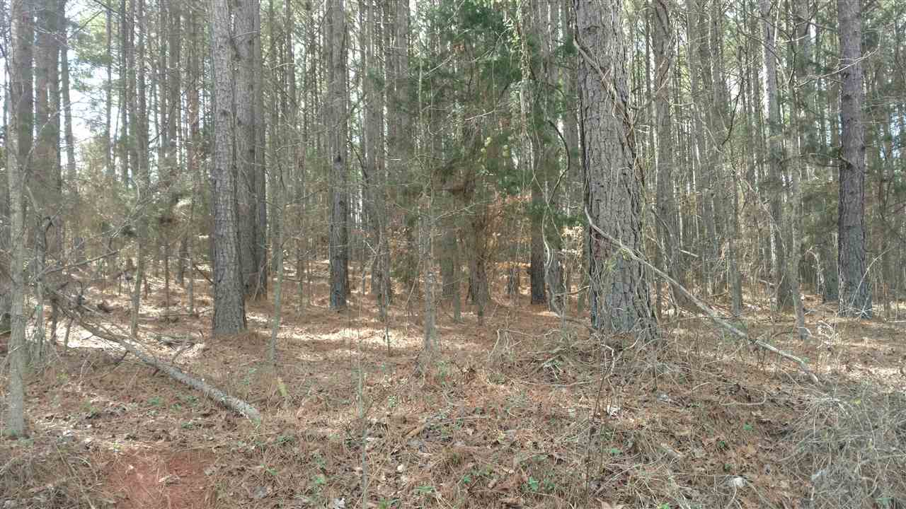 ? North Major Road Belton, SC 29627 - Photo 3 of 24