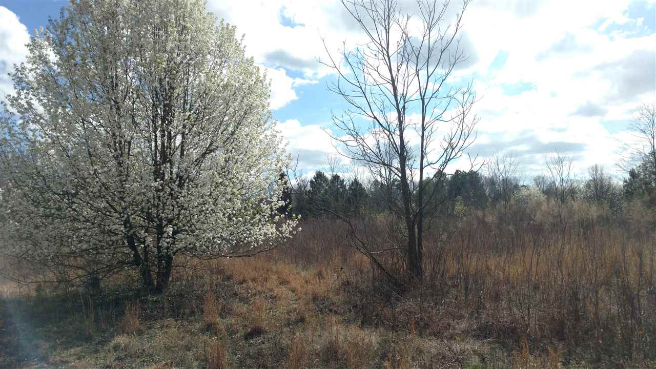? North Major Road Belton, SC 29627 - Photo 8 of 24