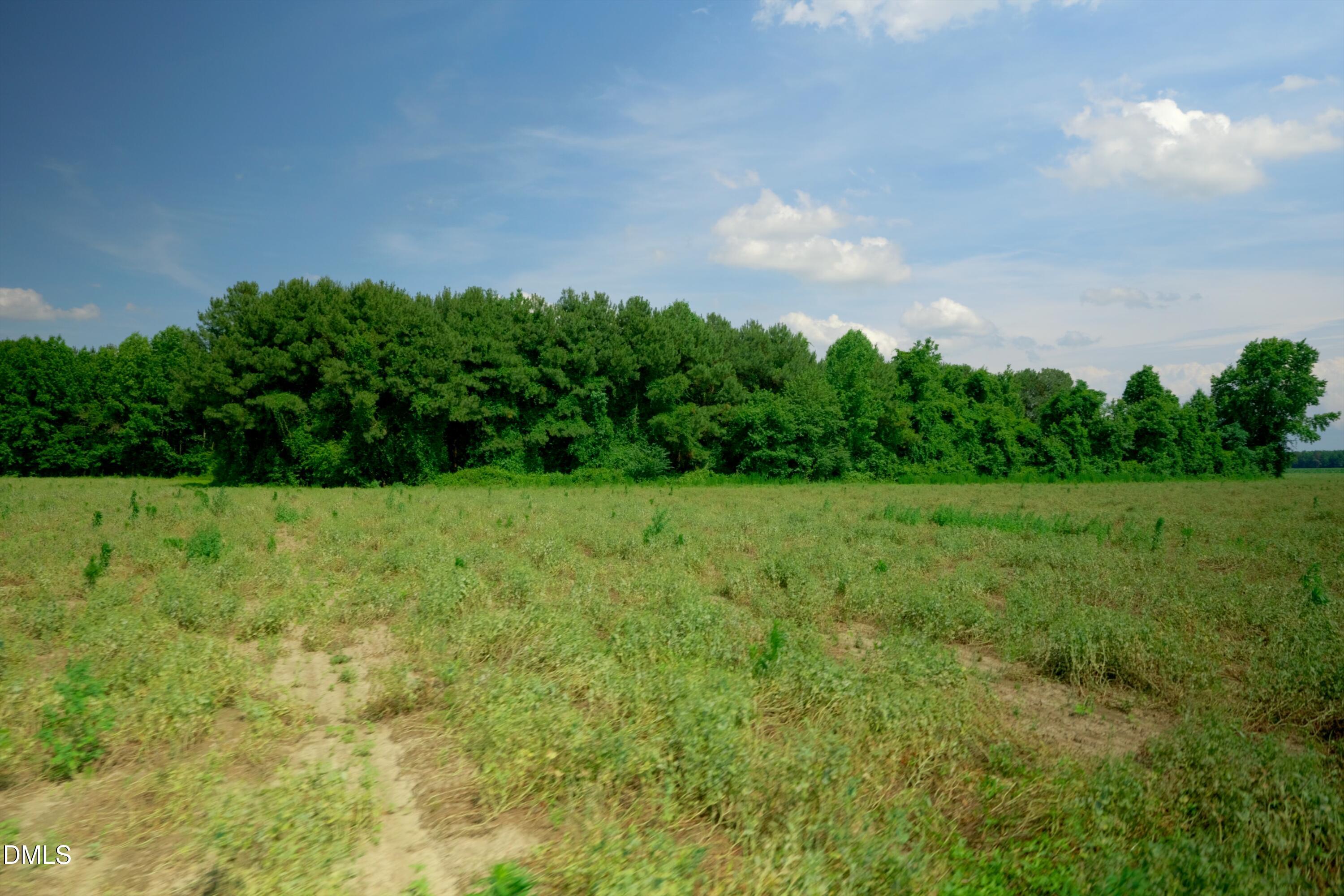 0 Bowden Road Turkey, NC 28393 - Photo 28 of 31
