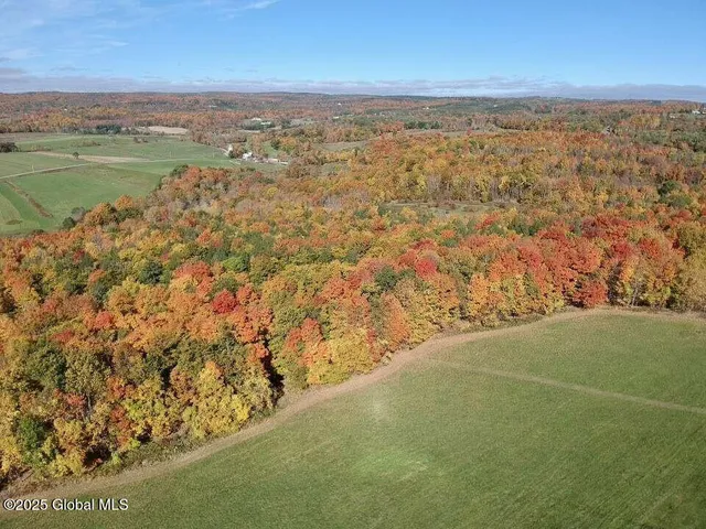 $1,099,000 | 122 County Route 360, Medusa, NY 12120