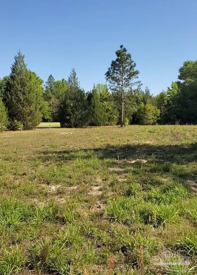 Lot 0 American Farms Road Milton, FL 32570 - Photo 1 of 1 Gallery Image 1