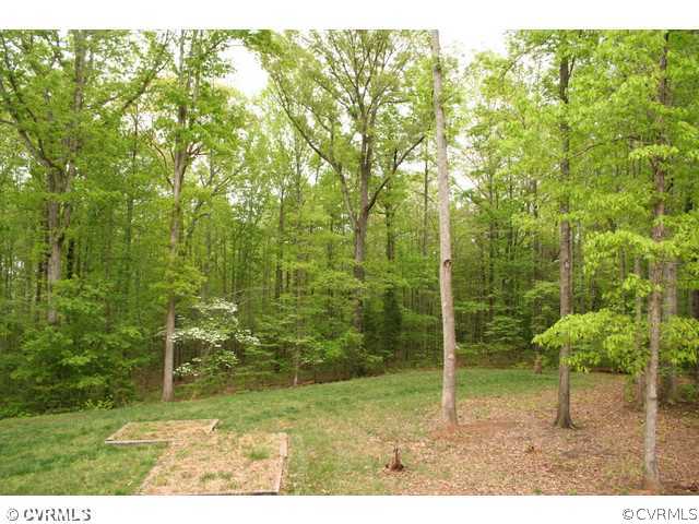 1024 Schroeder Road Powhatan, VA 23139 - Photo 5 of 24 Land - The back yard has lots of space and plenty