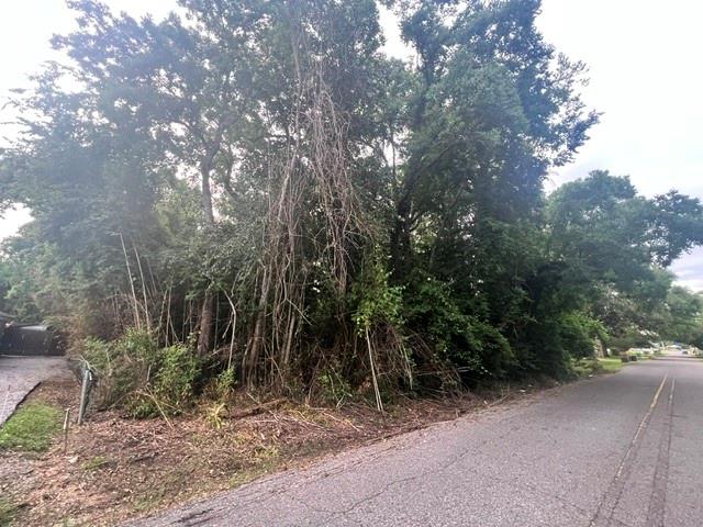 1414 Ransbottom Drive Alexandria, LA 71302 - Photo 3 of 4