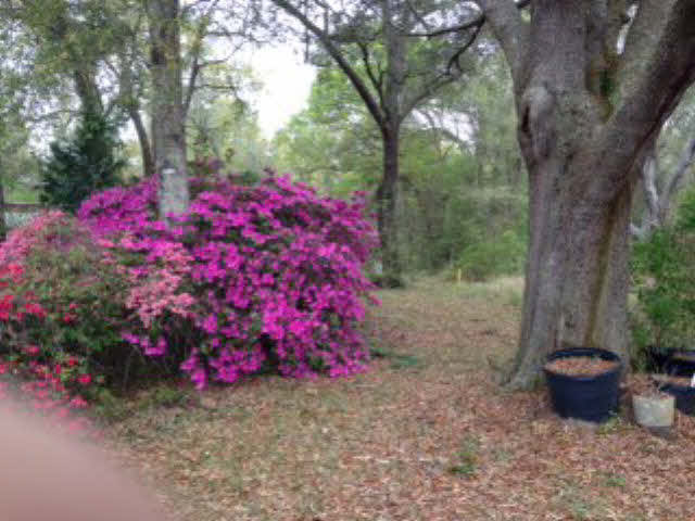 0 East Willis Road East Foley, AL 36535 - Photo 1 of 1