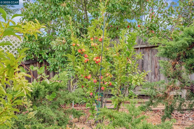 $1,399,000 | 92 Gaywood Place, Moraga, CA 94556