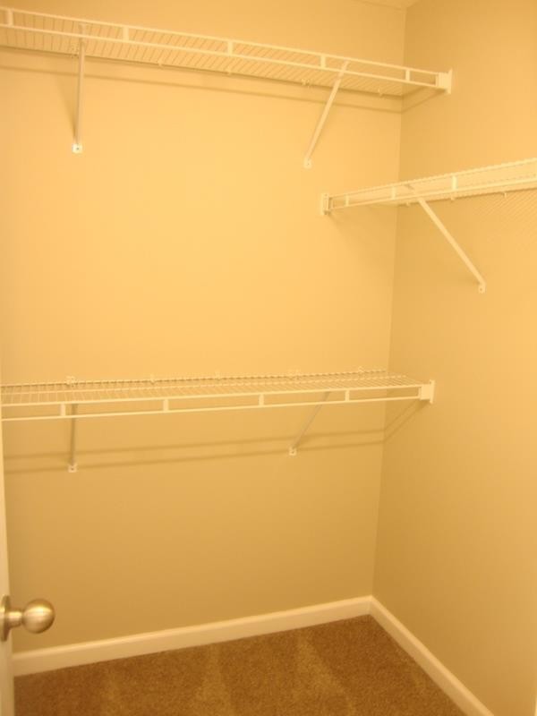 2037 Victory Gallop Lane Murfreesboro, TN 37128 - Photo 17 of 20 a view of a ocean view